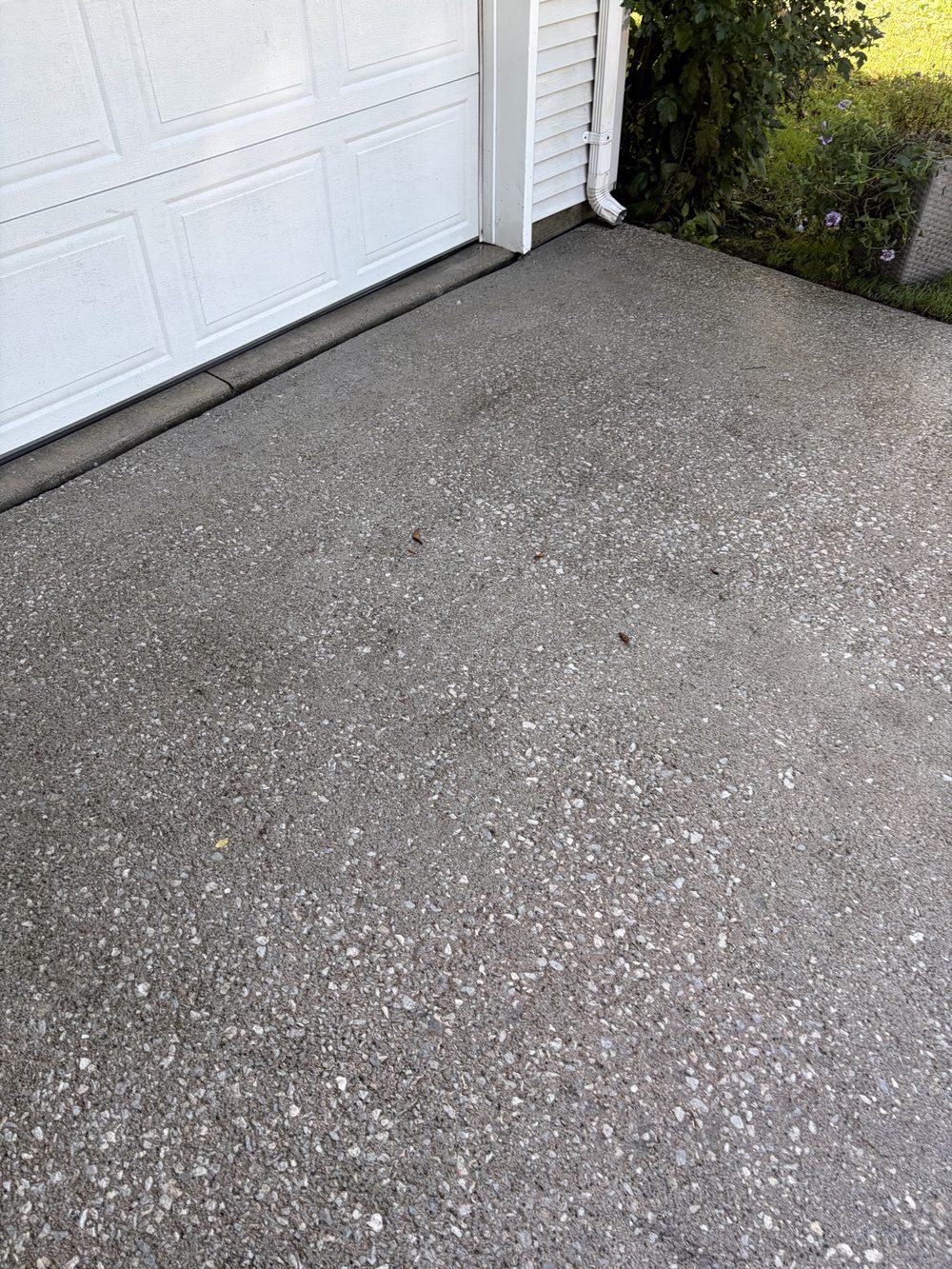 Garage apron after pressure washing