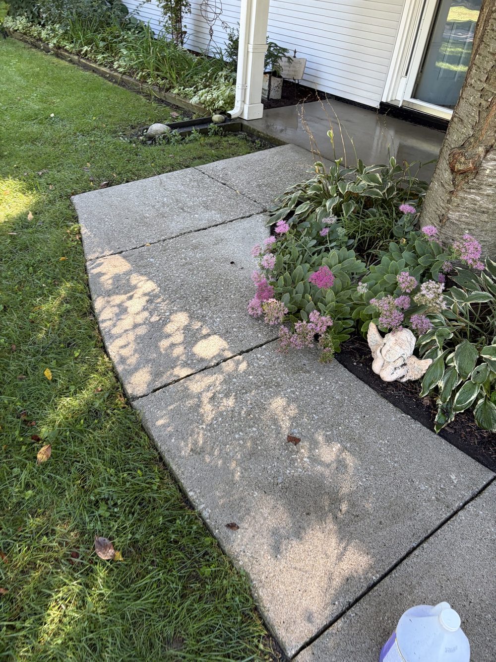 Walkway after pressure washing